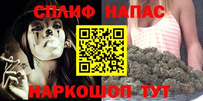 гашик Краснознаменск